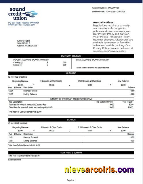 USA Washington Sound Credit Union account statement Word and PDF
